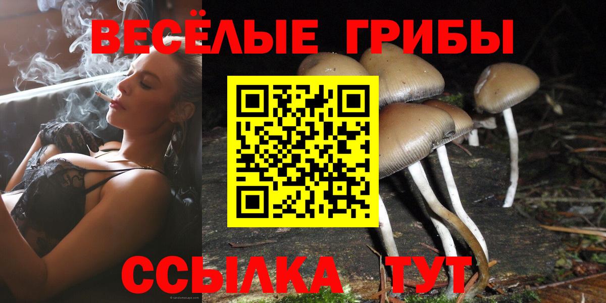 Куйбышев  Псилоцибиновые грибы прущие грибы  Галлюциногенные грибы мицелий  Вход с VPN 